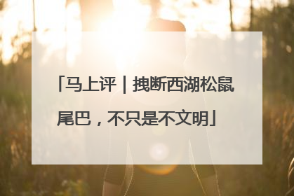 马上评｜拽断西湖松鼠尾巴，不只是不文明