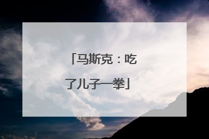 马斯克：吃了儿子一拳
