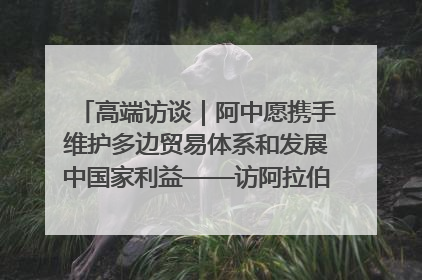 高端访谈｜阿中愿携手维护多边贸易体系和发展中国家利益——访阿拉伯议会议长亚马希