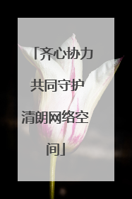 齐心协力 共同守护清朗网络空间