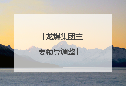 龙煤集团主要领导调整
