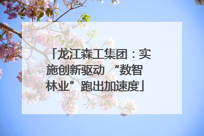 龙江森工集团：实施创新驱动 “数智林业”跑出加速度