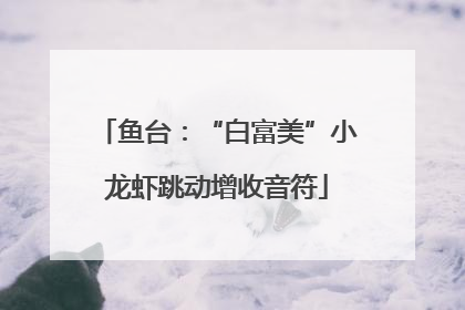 鱼台：“白富美”小龙虾跳动增收音符