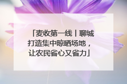 麦收第一线丨聊城打造集中晾晒场地，让农民省心又省力