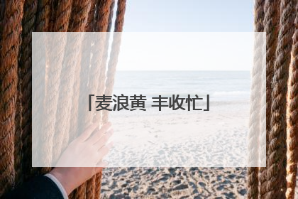 麦浪黄 丰收忙