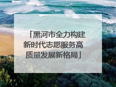 黑河市全力构建新时代志愿服务高质量发展新格局