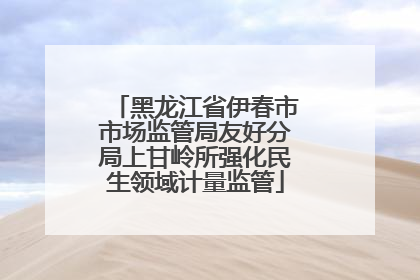 黑龙江省伊春市市场监管局友好分局上甘岭所强化民生领域计量监管