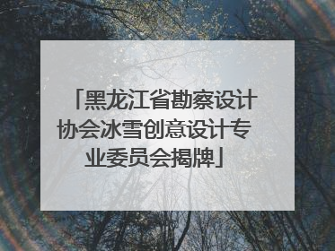 黑龙江省勘察设计协会冰雪创意设计专业委员会揭牌