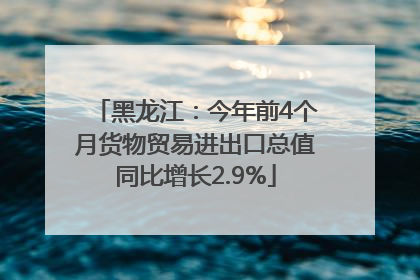 黑龙江：今年前4个月货物贸易进出口总值同比增长2.9%