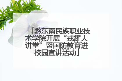 黔东南民族职业技术学院开展“戎耀大讲堂”暨国防教育进校园宣讲活动