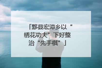 黟县宏潭乡以“绣花功夫”下好整治“先手棋”