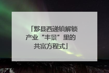黟县西递镇解锁产业“丰景”里的共富方程式