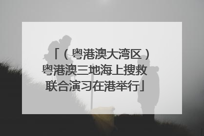 （粤港澳大湾区）粤港澳三地海上搜救联合演习在港举行