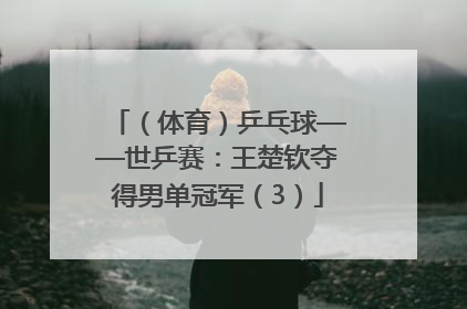 （体育）乒乓球——世乒赛：王楚钦夺得男单冠军（3）