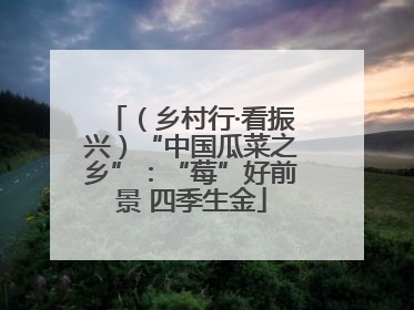 （乡村行·看振兴）“中国瓜菜之乡”：“莓”好前景 四季生金