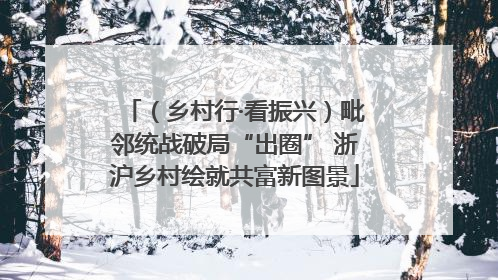 （乡村行·看振兴）毗邻统战破局“出圈” 浙沪乡村绘就共富新图景