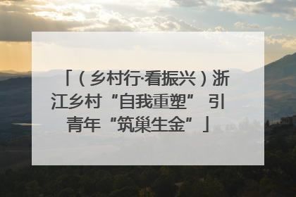 （乡村行·看振兴）浙江乡村“自我重塑” 引青年“筑巢生金”