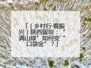 （乡村行·看振兴）陕西留坝：“满山绿”如何变“口袋金”？