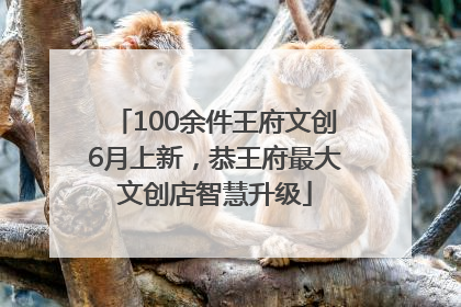 100余件王府文创6月上新，恭王府最大文创店智慧升级