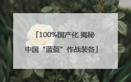 100%国产化 揭秘中国“蓝盔”作战装备