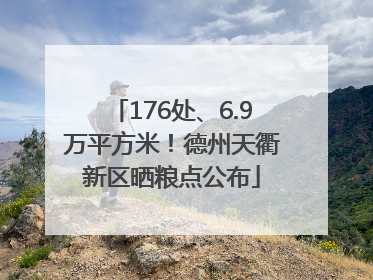 176处、6.9万平方米！德州天衢新区晒粮点公布