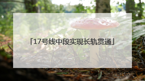 17号线中段实现长轨贯通