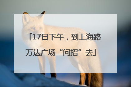 17日下午，到上海路万达广场“问招”去
