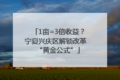 1亩=3倍收益？宁夏兴庆区解锁改革“黄金公式”