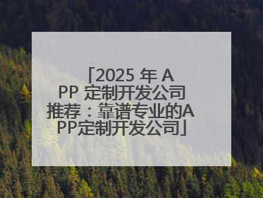 2025 年 APP 定制开发公司推荐：靠谱专业的APP定制开发公司