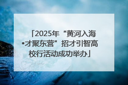 2025年“黄河入海•才聚东营”招才引智高校行活动成功举办
