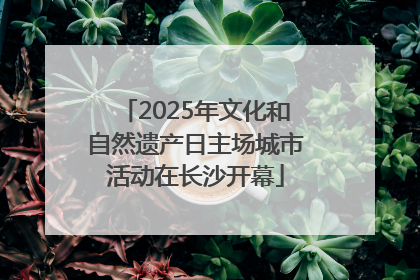 2025年文化和自然遗产日主场城市活动在长沙开幕