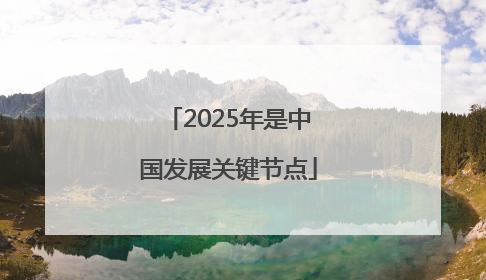 2025年是中国发展关键节点