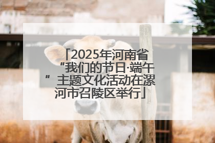 2025年河南省“我们的节日·端午”主题文化活动在漯河市召陵区举行