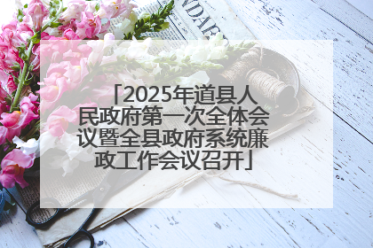 2025年道县人民政府第一次全体会议暨全县政府系统廉政工作会议召开
