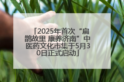 2025年首次“扁鹊故里 康养济南”中医药文化市集于5月30日正式启动