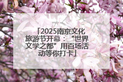 2025南京文化旅游节开幕：“世界文学之都”用百场活动等你打卡