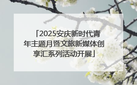 2025安庆新时代青年主题月暨文旅新媒体创享汇系列活动开展