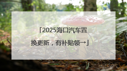 2025海口汽车置换更新，有补贴领→