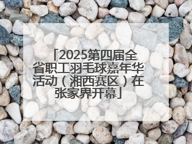 2025第四届全省职工羽毛球嘉年华活动（湘西赛区）在张家界开幕