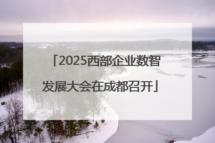 2025西部企业数智发展大会在成都召开
