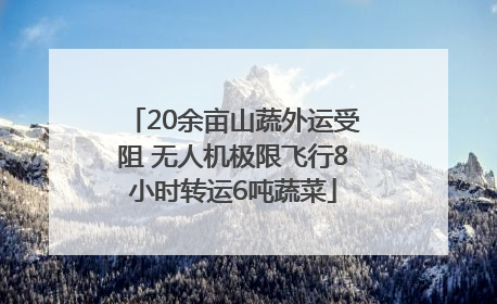 20余亩山蔬外运受阻 无人机极限飞行8小时转运6吨蔬菜