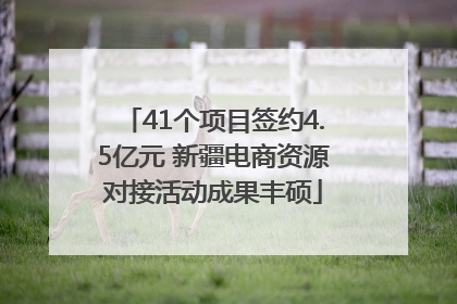 41个项目签约4.5亿元 新疆电商资源对接活动成果丰硕