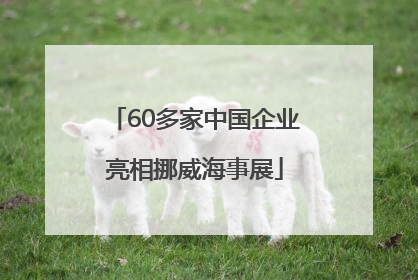 60多家中国企业亮相挪威海事展