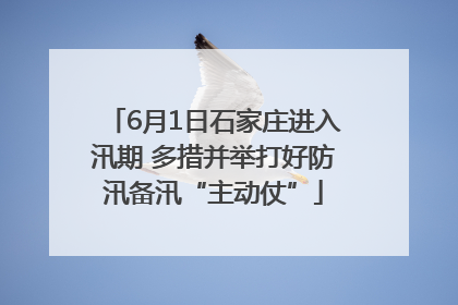 6月1日石家庄进入汛期 多措并举打好防汛备汛“主动仗”