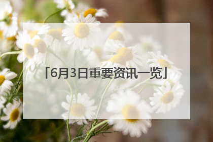 6月3日重要资讯一览