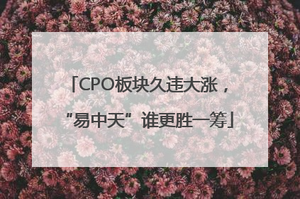 CPO板块久违大涨，“易中天”谁更胜一筹