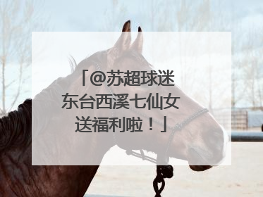 @苏超球迷 东台西溪七仙女送福利啦！