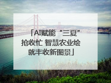 AI赋能“三夏”抢收忙 智慧农业绘就丰收新图景
