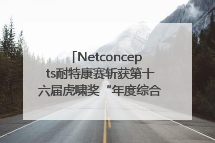 Netconcepts耐特康赛斩获第十六届虎啸奖“年度综合服务商”大奖