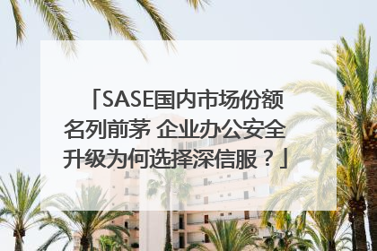 SASE国内市场份额名列前茅 企业办公安全升级为何选择深信服？